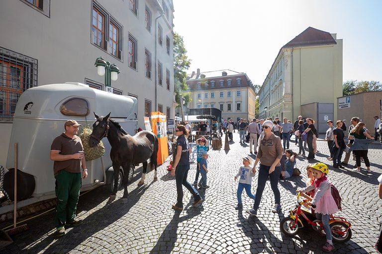 Impressionen vom Tag des Handwerks am 21. September 2019 in Weimar